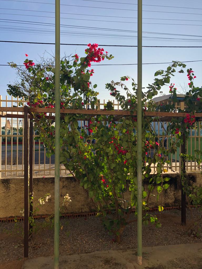 /media/file/site/montealegre/imagens/2022/8d4fdfe9a78385614a5ed50dba4d2c0d.jpeg