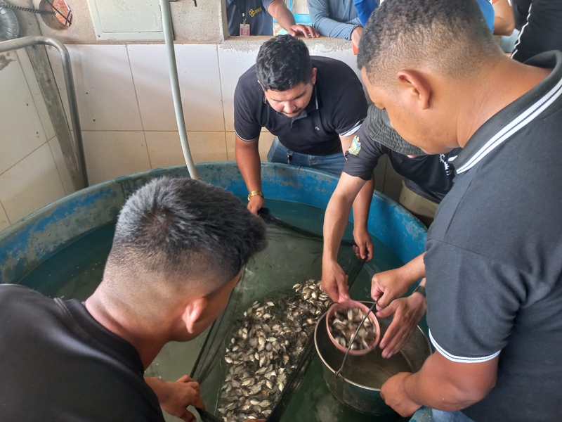 /media/file/site/montealegre/imagens/2023/4b9e47d18b8da302ac2aa8cf31351f2a.jpg