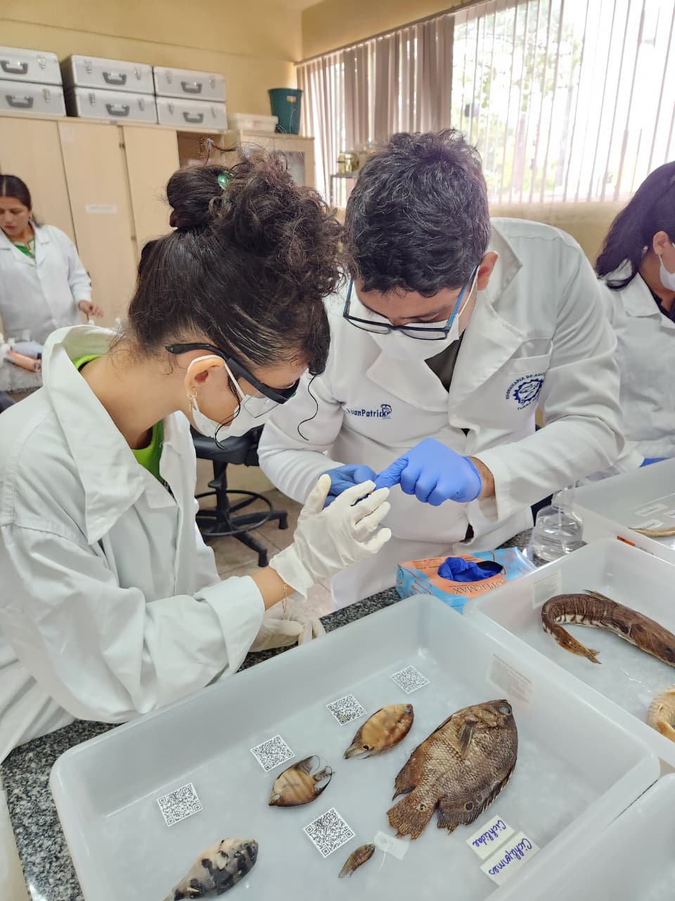 Estudantes da rede municipal exploram a coleção didática peixes 2