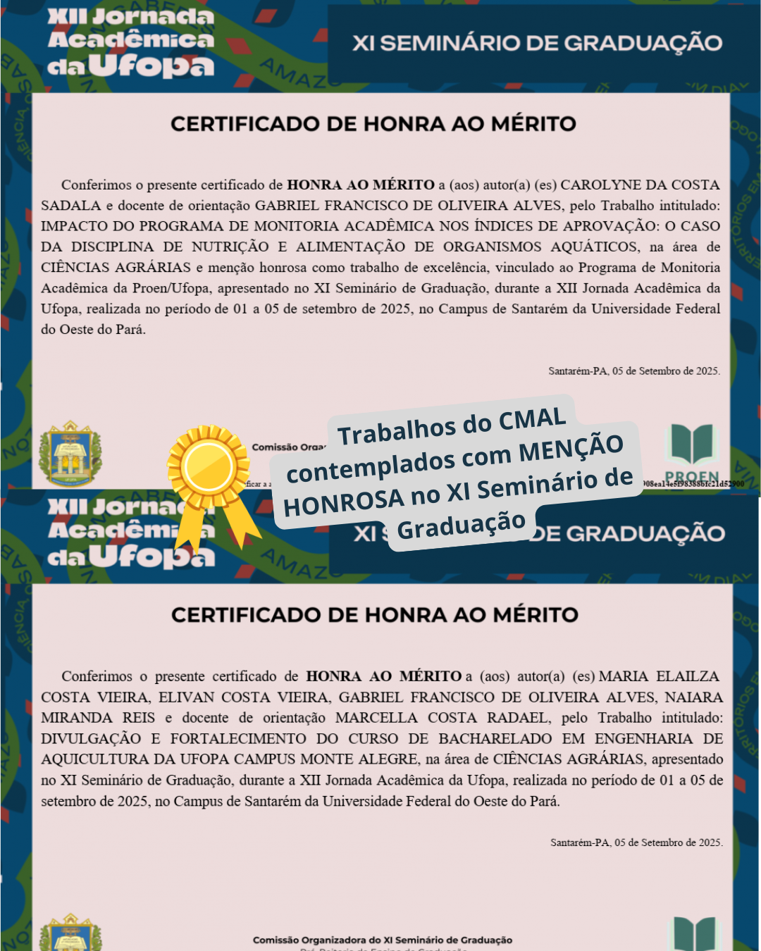 /media/file/site/montealegre/imagens/2025/684b9135-b2a3-4cd6-9418-bc000875373e.png